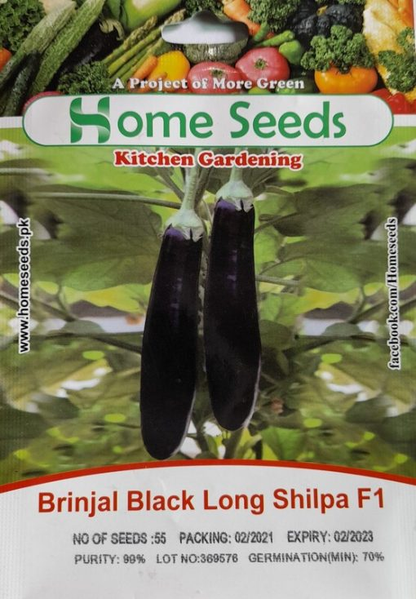 Eggplant Black Long Shilpa F1 Hybrid