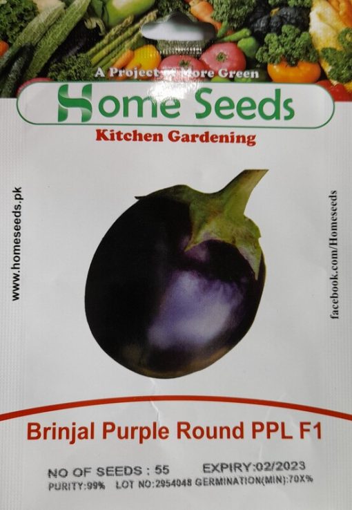 Eggplant Purple Round PPL F1 Hybrid