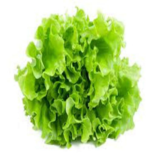 Lettuce – Salad Pata Seeds