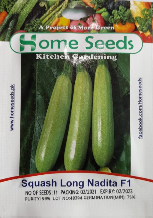 Seeds- Squash Long Nadita F1